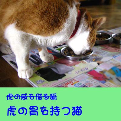 虎の威を借る狐